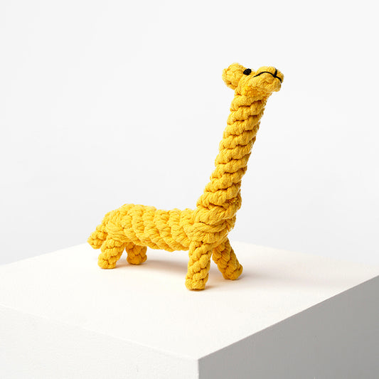 Girafe Animals