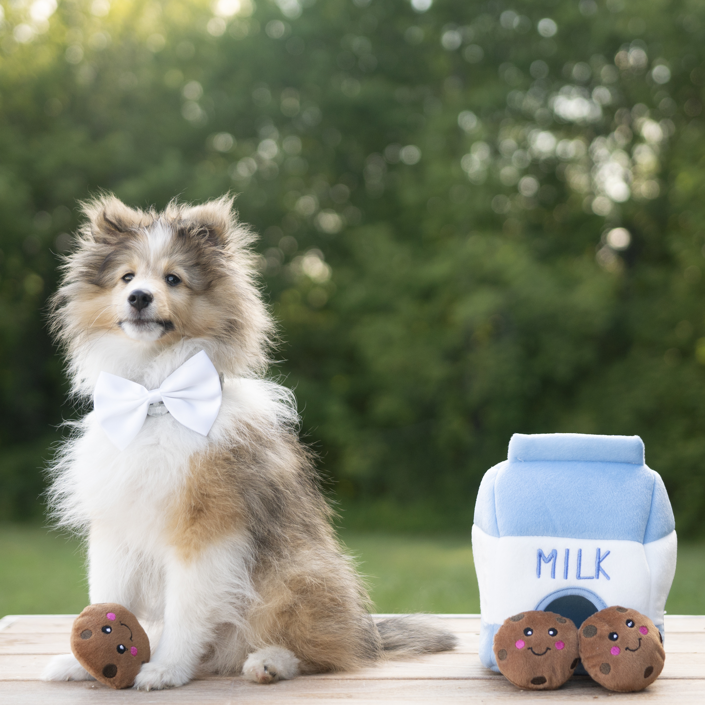 Lait & Biscuits