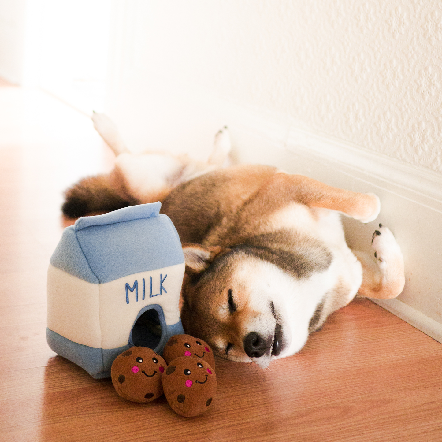 Lait & Biscuits