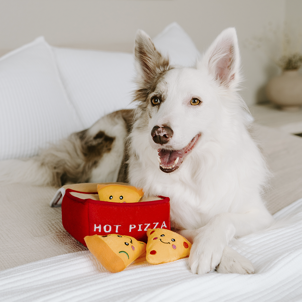 Boîte à Pizza