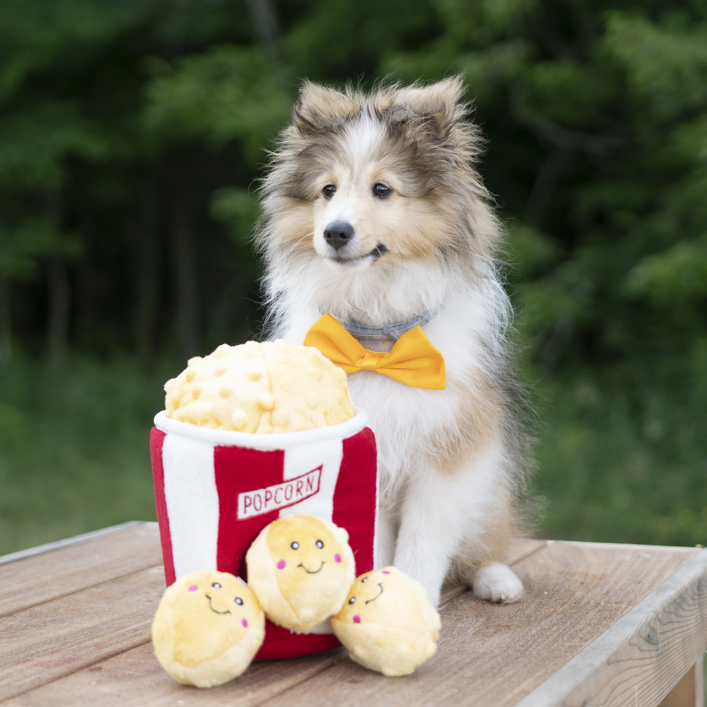 Seau de Pop-Corn