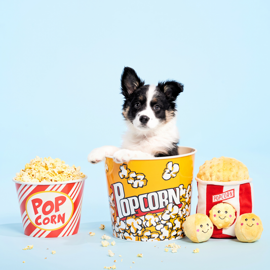 Seau de Pop-Corn