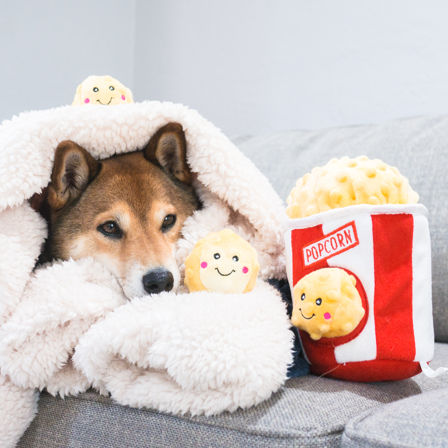 Seau de Pop-Corn